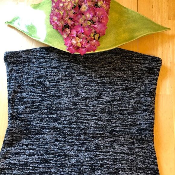 ARITZIA Wilfred Free H. Grey & Blk Bodycon SilvaTube Dress EUC - Picture 2 of 9